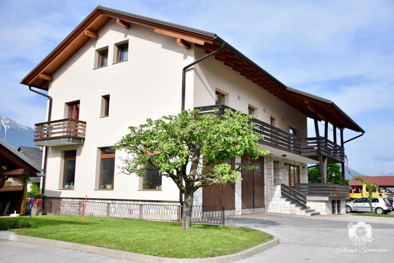 Apartments B&S Блед Екстер'єр фото